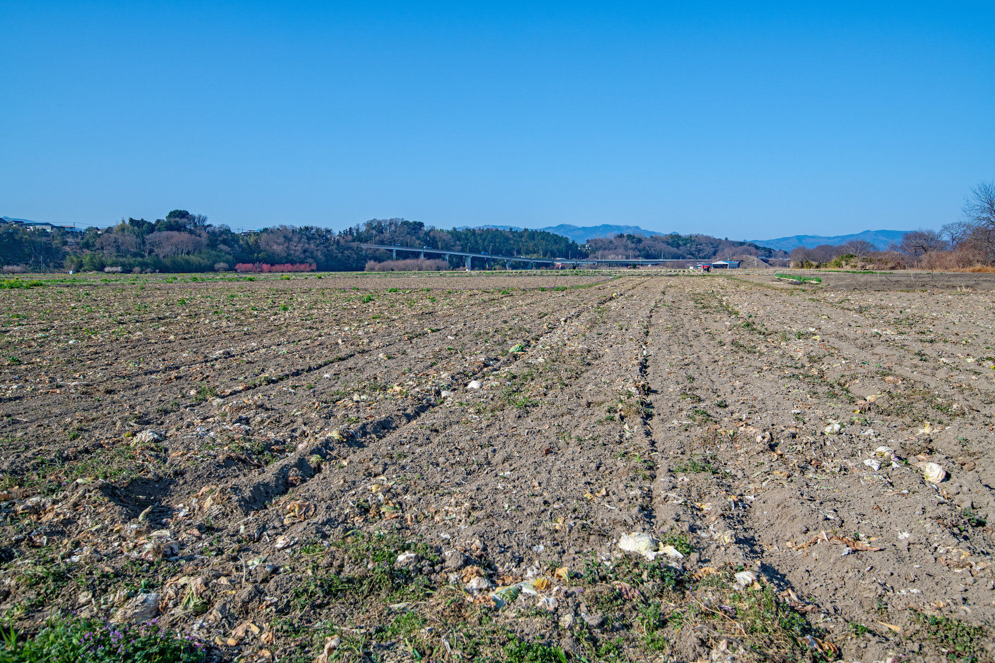 初春の農耕地の風景