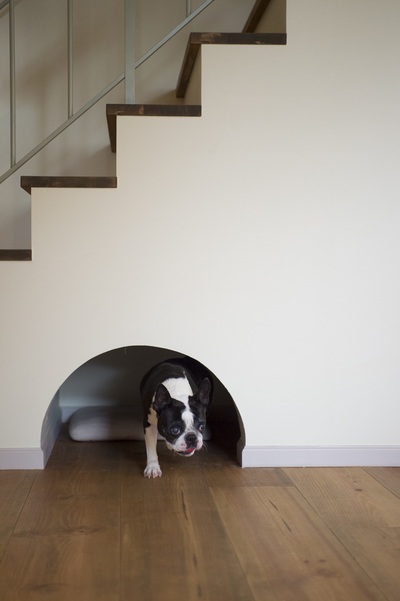 階段下のトンネルの正体は…
愛犬の遊び用トンネルでした!羨ましいです♪ 階段下のトンネルの正体は…
愛犬の遊び用トンネルでした!羨ましいです♪