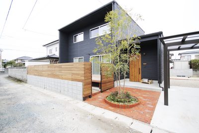 シマトネリコの樹木が存在感たっぷりの外観