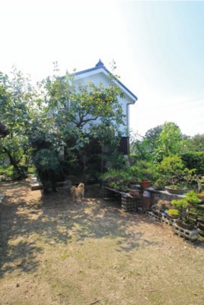 ダイニングの南面に設けたサンデッキから中庭を臨む。